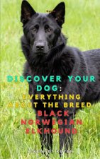 Discover your dog