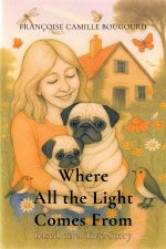 Where All the Light Comes From - Based on a True Story