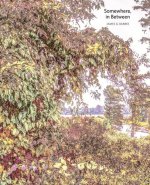 Somewhere, In Between: Seeking the Rapture and Exploring the People, Places, and History of the Lower Mississippi River Valley and Beyond