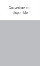 Dictionnaire du Moyen Âge imaginaire