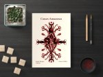 Cœurs Amazones