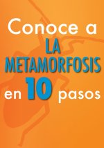 Conoce a la metamorfosis en 10 pasos