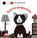 Gatito pequeñito