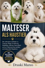 MALTESER ALS HAUSTIER