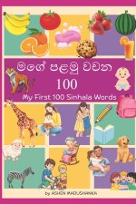 මගේ පළමු වචන 100