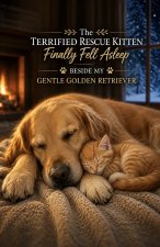 The Terrified Rescue Kitten Finally Fell Asleep Beside My Gentle Golden Retriever