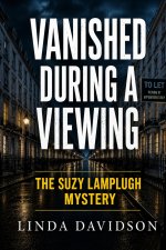 Vanished During a Viewing