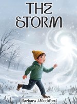 THE STORM