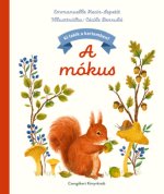 A mókus