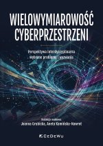 Wielowymiarowość cyberprzestrzeni