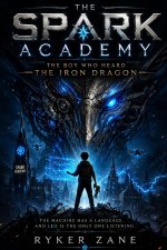 The Spark Academy