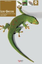 Los gecos