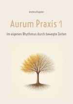 Aurum Praxis 1