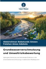 Grundwasserverschmutzung und Umweltrisikobewertung