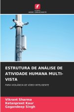 ESTRUTURA DE ANÁLISE DE ATIVIDADE HUMANA MULTI-VISTA