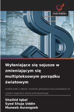 Wyłaniające się sojusze w zmieniającym się multipleksowym porządku światowym