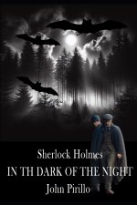 Sherlock Holmes, in the dark of the night