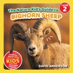 The Nature Kid's Guide to Bighorn Sheep