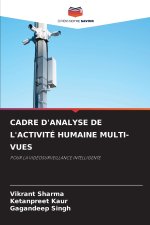 CADRE D'ANALYSE DE L'ACTIVITÉ HUMAINE MULTI-VUES