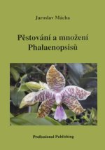 Pěstování a množení Phalaenopsisů