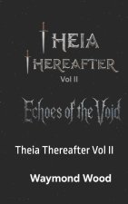 Echoes of the Void