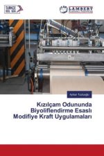 Kizilçam Odununda Biyoliflendirme Esasli Modifiye Kraft Uygulamalari