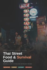 Thai Street Food & Survival Guide