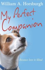 My Perfect Companion