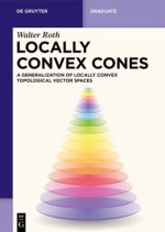 Locally Convex Cones – A Generalization of Locally Convex Topological Vector Spaces