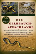 GELBBAUCH-SEESCHLANGE
