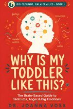 Why Is My Toddler Like This?