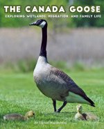 The Canada Goose