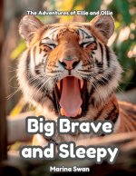 Big Brave and Sleepy