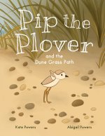 Pip the Plover and the Dune Grass Path