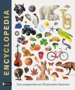 Encyclopedia - Tout comprendre en 150 planches illustrées