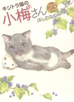 Plum, un amour de chat T23