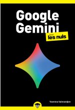 Google Gemini poche pour les Nuls
