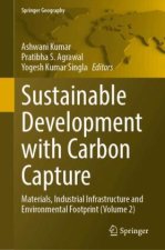 Sustainable Development with Carbon Capture