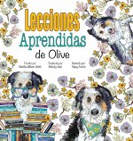 Lecciones Aprendidas de Olive