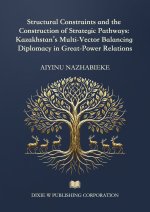 Structural Constraints and the Construction of Strategic Pathways