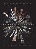 Fragments of Freedom