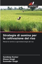 Strategie di semina per la coltivazione del riso