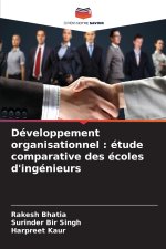 Développement organisationnel : étude comparative des écoles d'ingénieurs