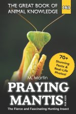 Praying Mantis for Kids