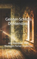 Geister-Schloss Dohlenstein