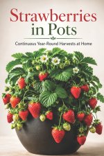 Strawberries in Pots