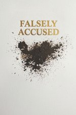 Falsely Accused