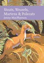 STOATS WEASELS_NN LIB149 OM HB