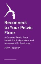 Reconnect to Your Pelvic Floor