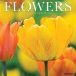 Flowers 2027 12 X 12 Wall Calendar